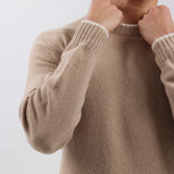 Cashmere Crew Neck Sweater in Camel