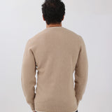 Cashmere Crew Neck Sweater in Camel